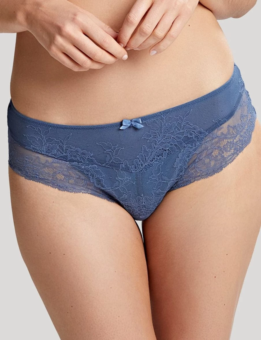Panache Ana Vintage Blue Underwear Briefs for Women - Comfortable Lingerie Panties